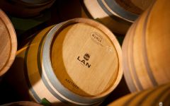 Bodegas Lan Bodegas LAN Barrels Winery Image