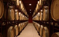 Podere Castorani Castorani Cellar Winery Image