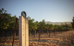 Groth Vineyards & Winery Groth Reserve Block Winery Image