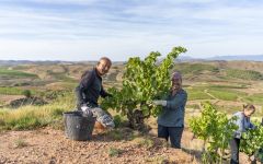 El Pacto El Pacto Harvest Winery Image