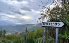 Alvaredos-Hobbs Supporting revitalization of the region Winery Image