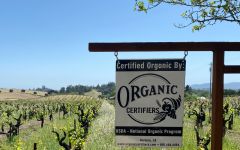 Ridge Vineyards Organic Certification Winery Image