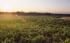 EnRoute Winery Winery Image