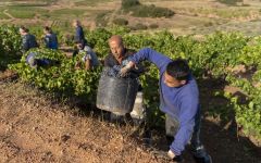 El Pacto El Pacto Harvest Winery Image
