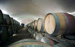 Il Molino di Grace  Winery Image