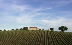 Petra Petra Vineyards Winery Image