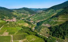 Domane Wachau Domane Wachau Vineyards Winery Image