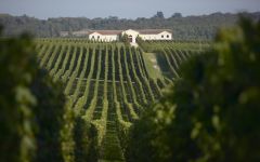 Chateau Pey La Tour The Winery at Chateau Pey la Tour Winery Image
