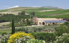 Donnafugata Contessa Entellina Estate Winery Image