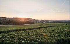 Piper-Heidsieck Winery Image