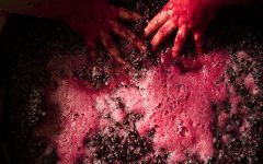 Abadia Retuerta Winemaking Winery Image
