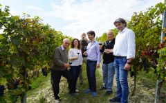 Tenute Neirano  Winery Image