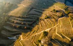 Jean-Luc Colombo Cornas Winery Image