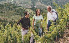 Familia Torres Pazo das Bruxas Albarino 2024