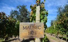 Mendel Malbec Winery Image