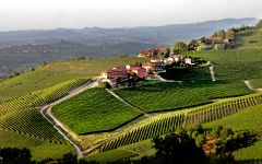 Prunotto Winery Image