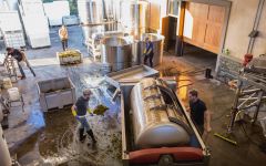 J. Christopher Harvest Time Winery Image