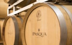 Pasqua Pasqua Barrels Winery Image