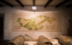 Castello di Verrazzano The Cellar Winery Image