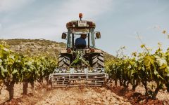 Villota Dry Farmed Winery Image