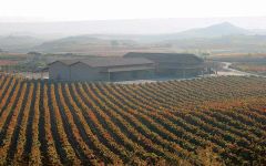 Vinedos de Paganos Winery Image