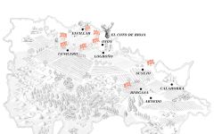 El Coto de Rioja Winery Image