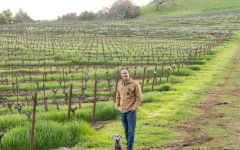 Far Mountain Rodrigo and Pup on Bald Mountain Winery Image