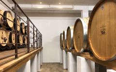 Domaine Pierre Usseglio et Fils Barrel Room Winery Image