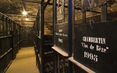 Faiveley Winery Image