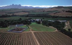 Meerlust Meerlust vineyards in Stellenbosch Winery Image