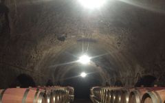 Maison de la Villette Maison de la Villette Cellar Winery Image