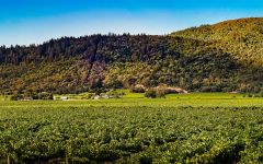 Heritance Winery Image