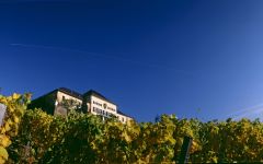 Schloss Johannisberg Schloss Johannisberg Estate Winery Image
