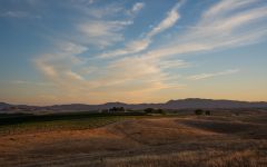Reciprocity French Camp Vineyard in Paso Robles Winery Image