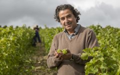 Pascal Jolivet Pascal Jolivet Winery Image