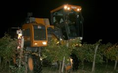 Biscaye Baie Biscaye Baie Night Harvest Winery Image