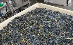 Calculated Risk Harvest Ready Winery Image