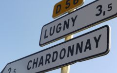 Cave de Lugny Winery Image