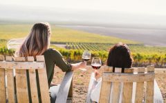 Cambria Winery Winery Image