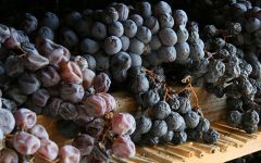 Zeni Zeni Winemaking Winery Image