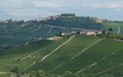 Bruna Grimaldi Bricco Ambrogio Winery Image