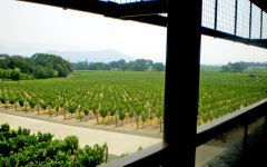 Dominus Estate 2010 | Wine.com Dominus Estate 2010 | Wine.com