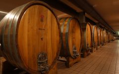 Damilano Damilano Winery Winery Image