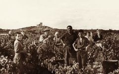 Domaine du Pere Caboche History Winery Image