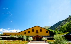 Terra Vega The Winery Winery Image