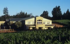 Merry Edwards Merry Edwards Winery Winery Image