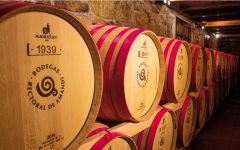 Bodegas Rectoral de Amandi Cellar Winery Image