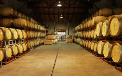 Erasmo Barrels Winery Image