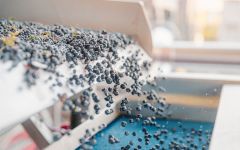 DAOU Family Estates  Unparalleled Wines Winery Image