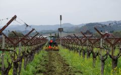 Frog's Leap Working the Soil Winery Image